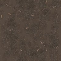 Asset preview
